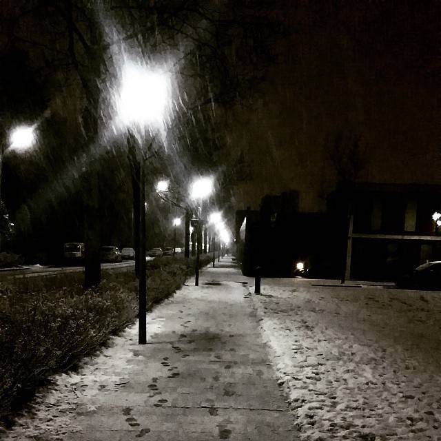 A snow-dusted path lit by streetlights at night, lined with trees and buildings.