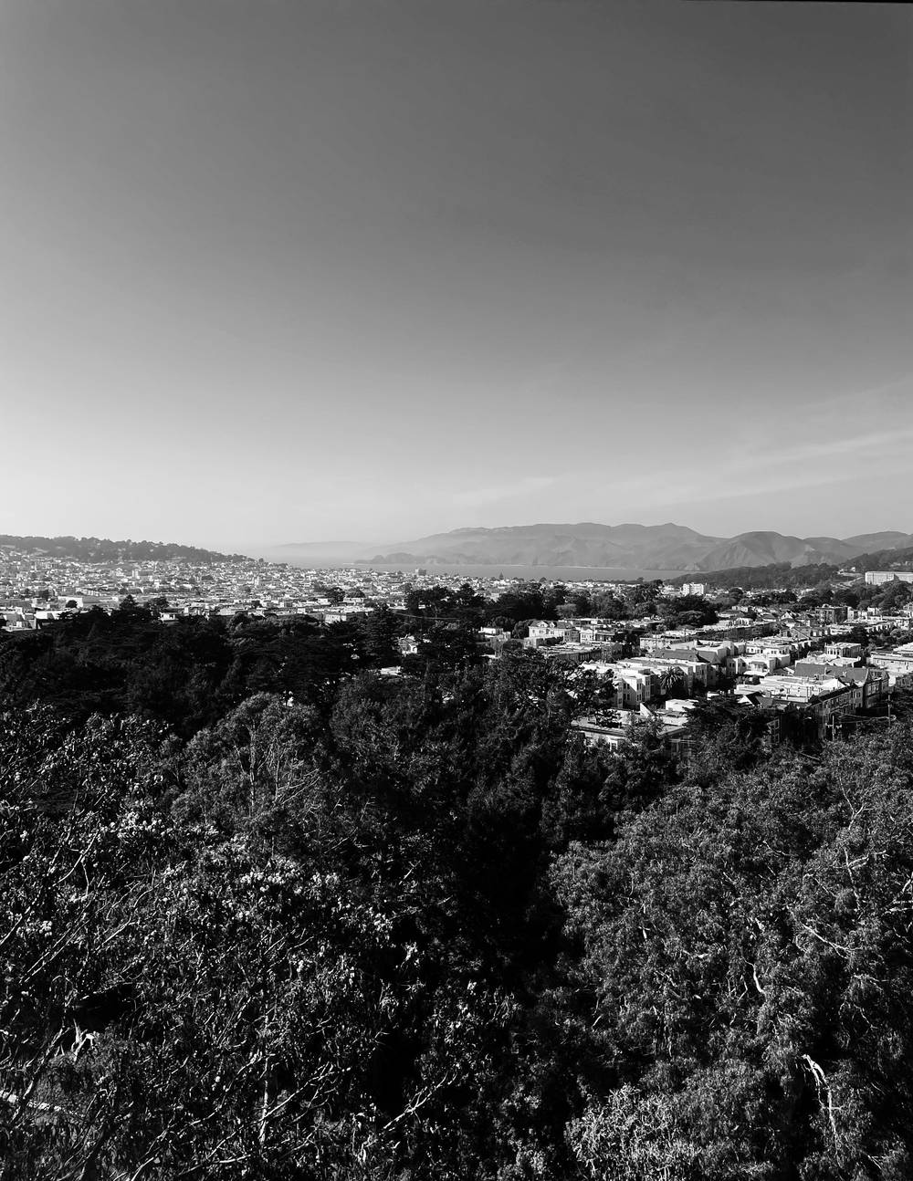 San Francisco from a distance, clear skies, small houses.