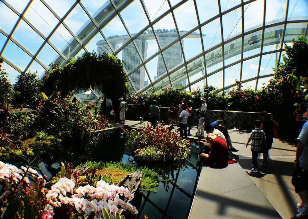 People walking along a path inside a large glass conservatory with tiered gardens.