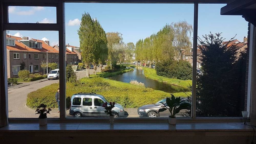 View through a window of a quiet street lined with willow trees along a canal.