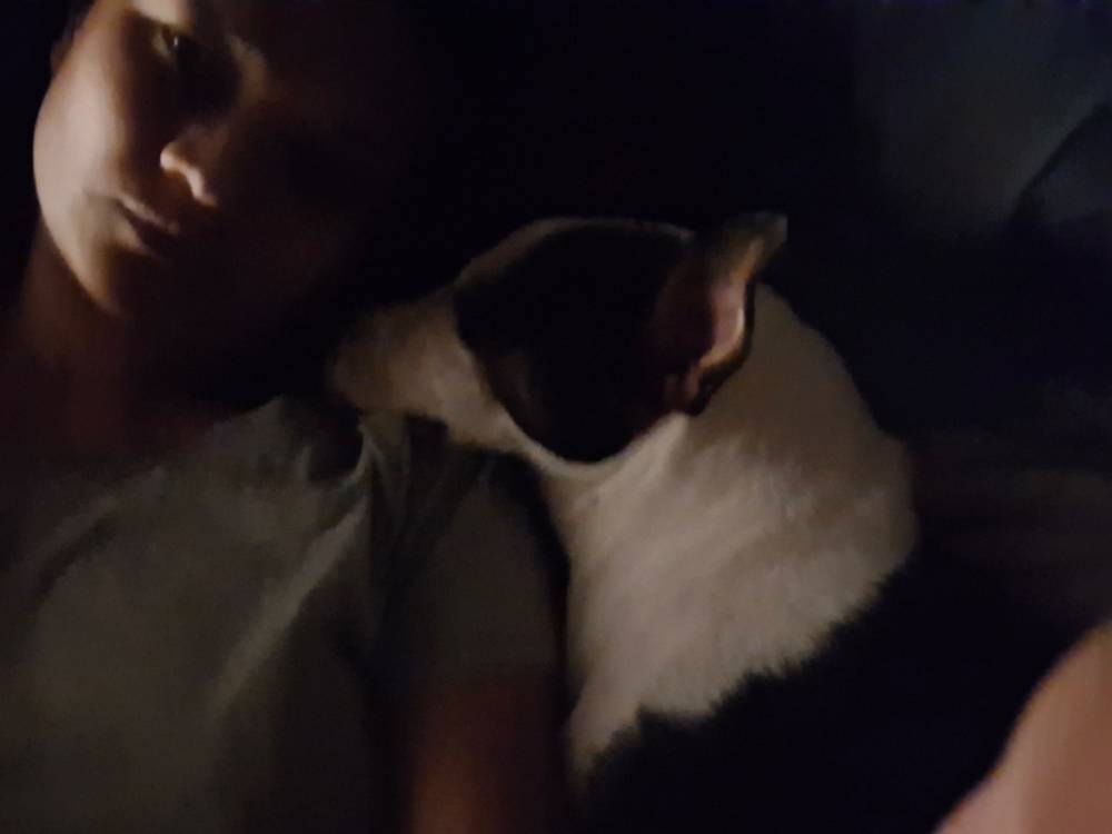 Bedtime with Franki
