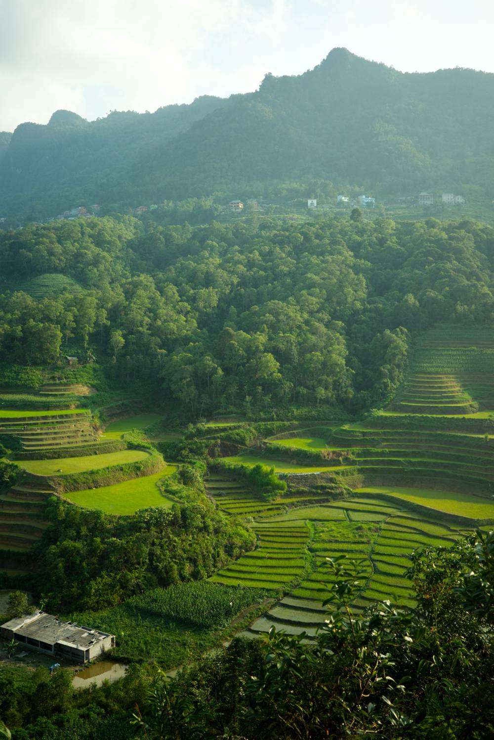Vietnam