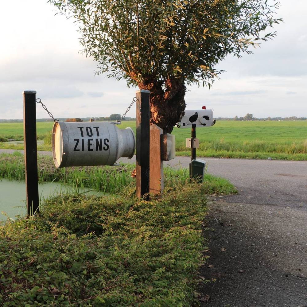 A rural mailbox shaped like a barrel, reading "Tot Ziens" (goodbye), beside a tree along a country road.