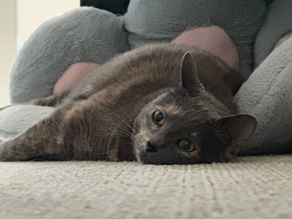 waking up to the existential dread