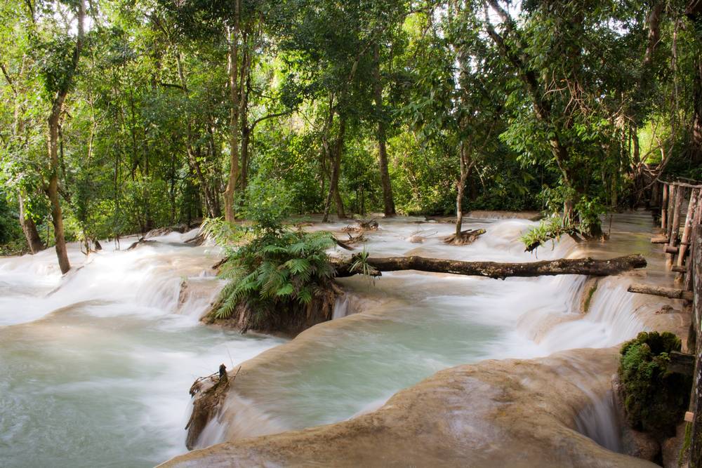 Small waterfalls in a forest