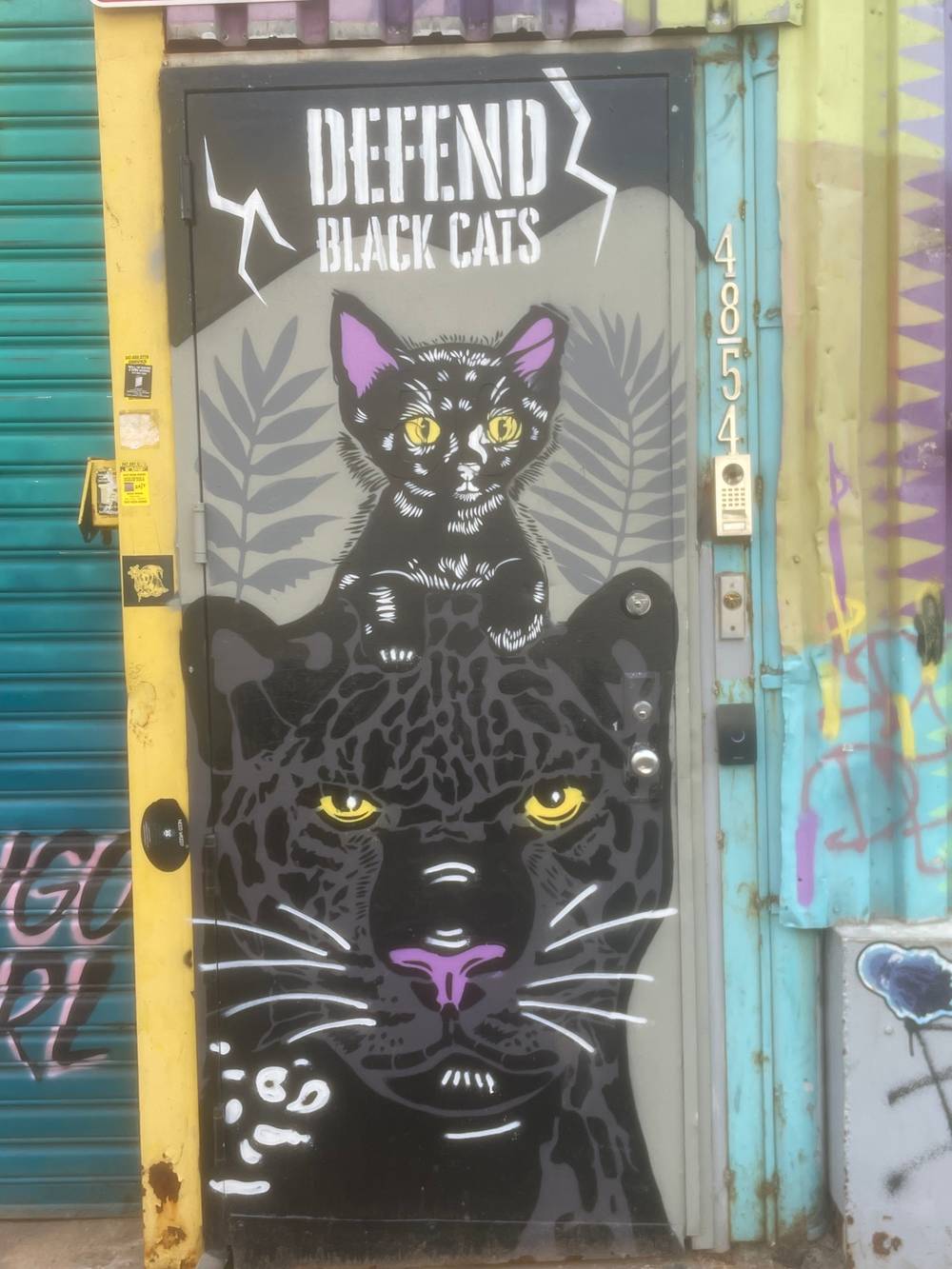 protect black cats!