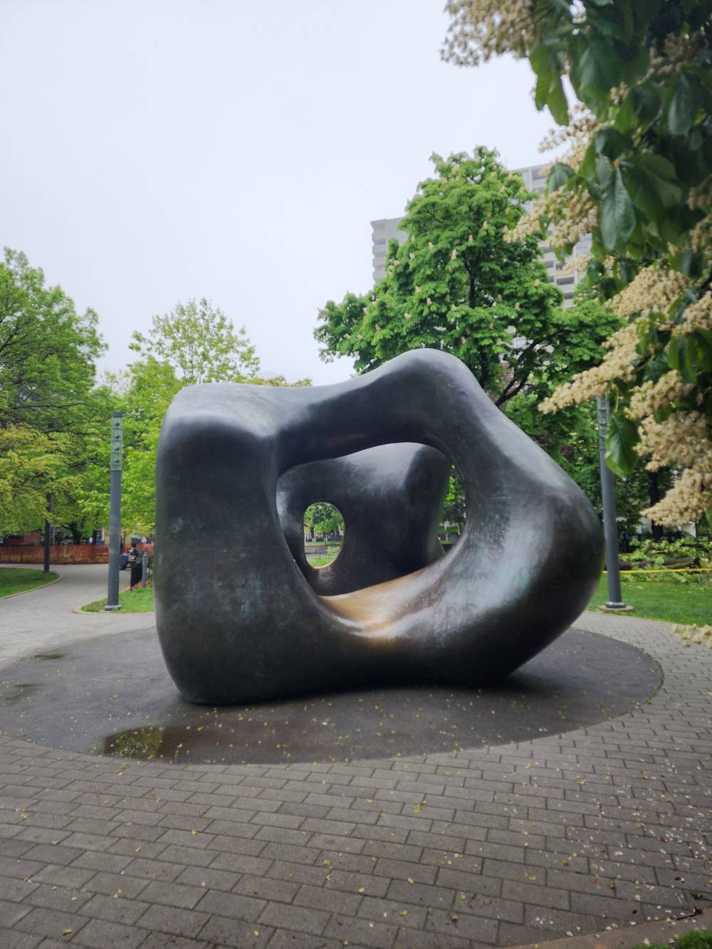 Henry Moore in the wild