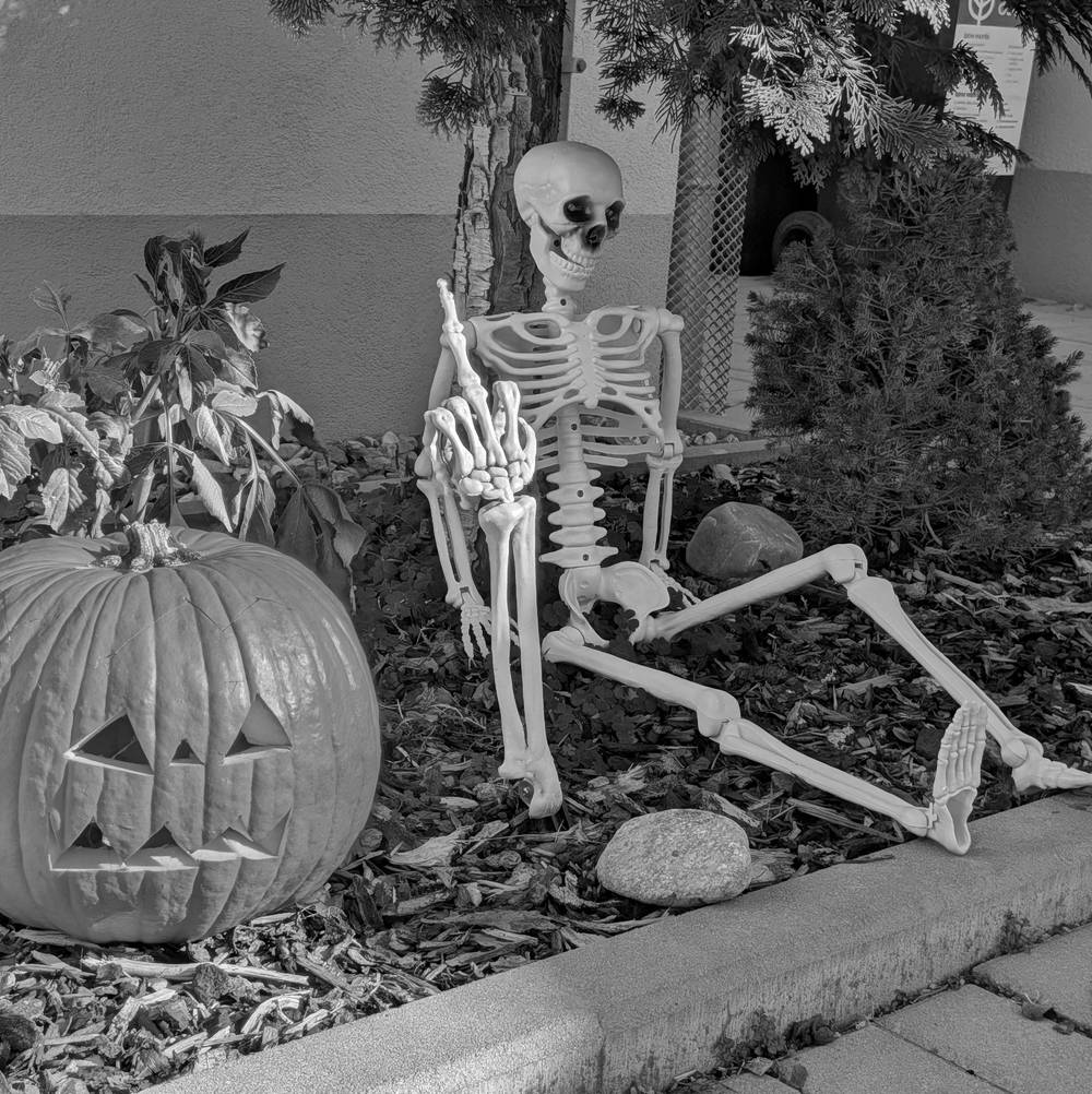 🎃