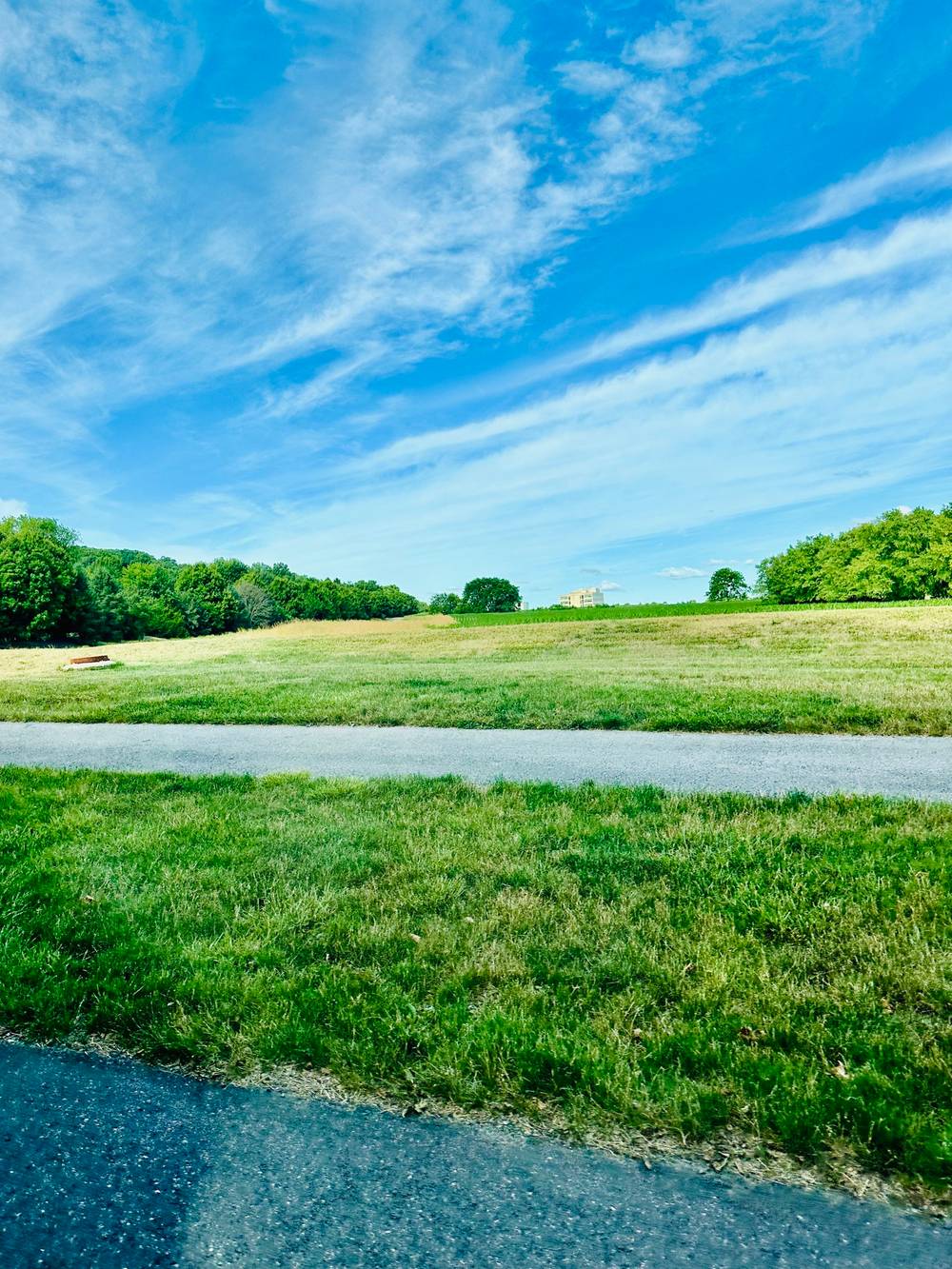 The field, in color.