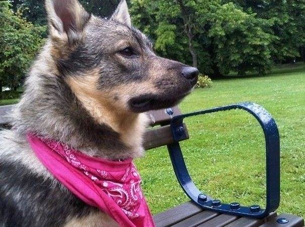 Comfortable with his masculinity