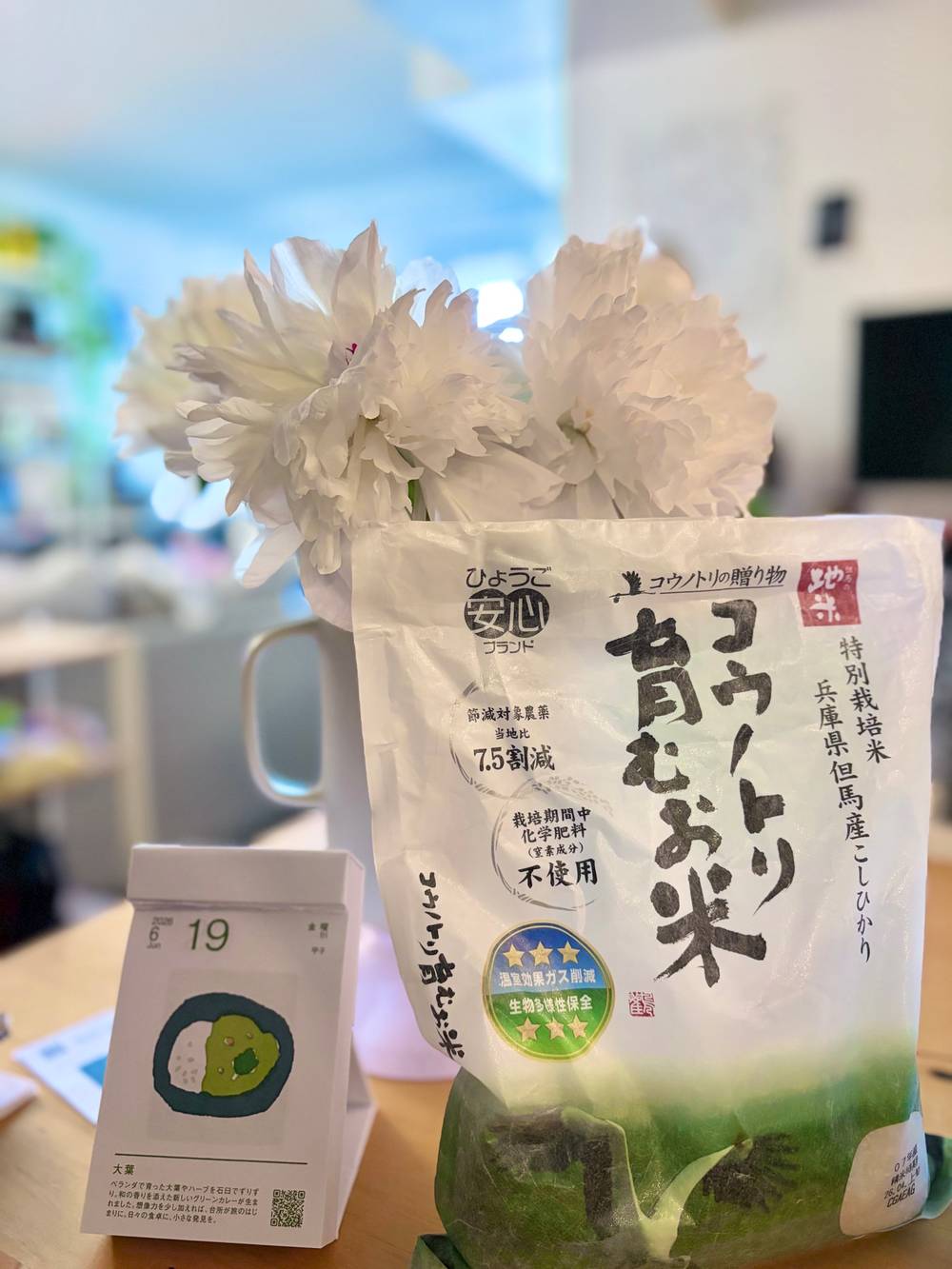 A bag of Tajima “stork” rice, brought back from Toyooka, Japan. It’s next to a vase filled with large white peonies, and a Japanese tearaway daily calendar (June 19th)
