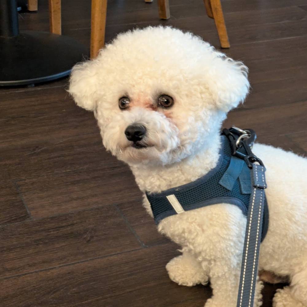 When you're getting a treat, but it's taking too long 😔, photo 2 of 2