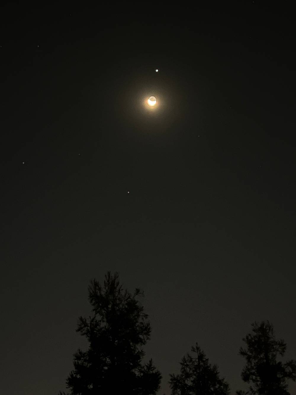 Moon. And stars.