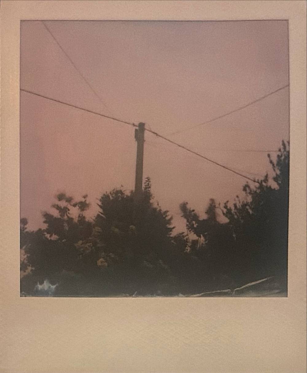Camera: Polaroid one600 Film: 600
