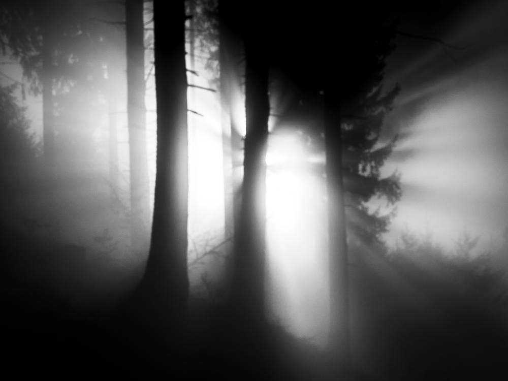 Backlight