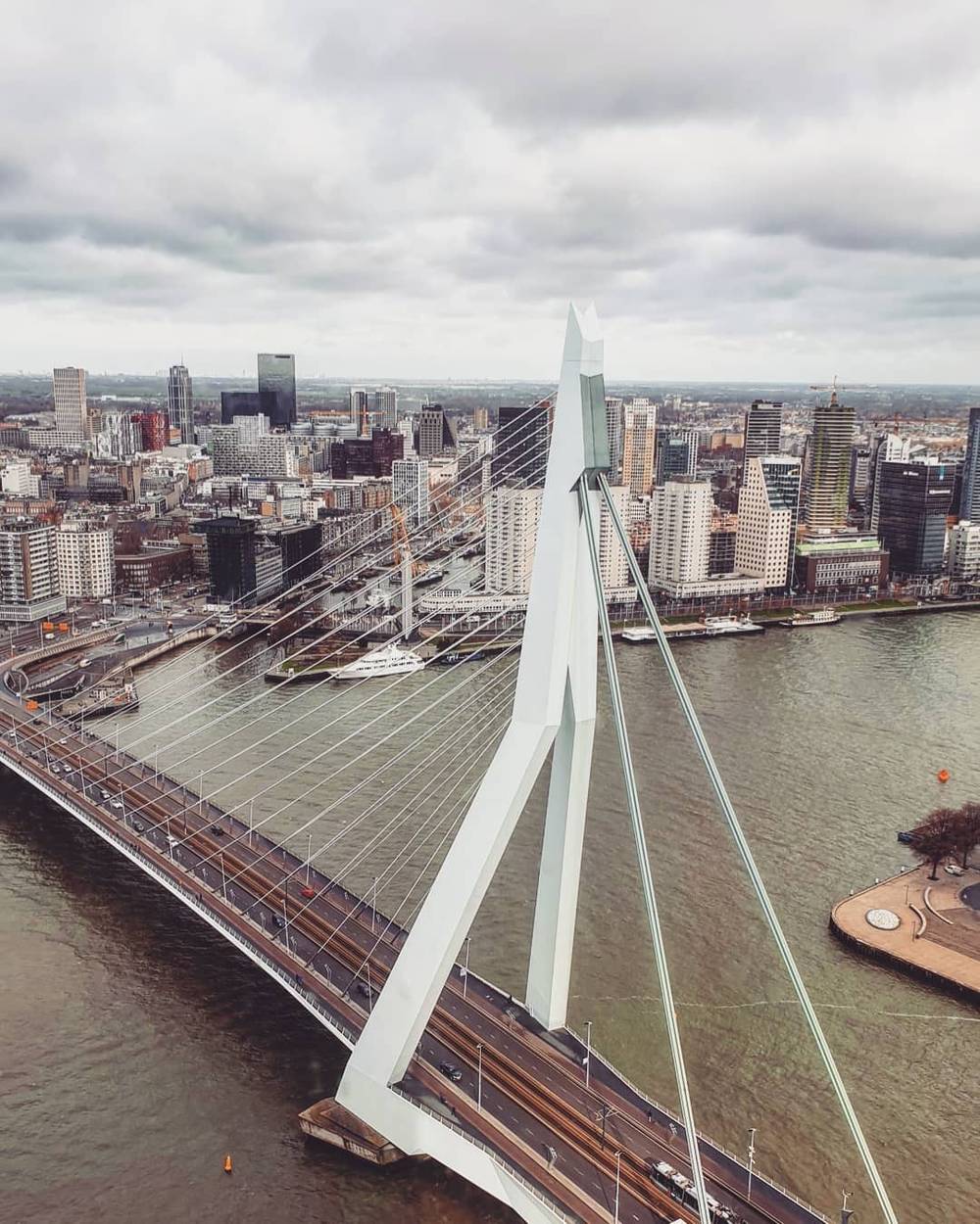 Hello Rotterdam