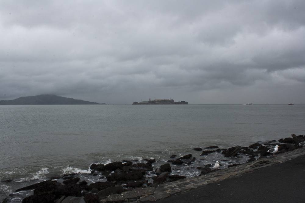 Alcatraz Island sits distant on the water beyond a rocky shoreline.