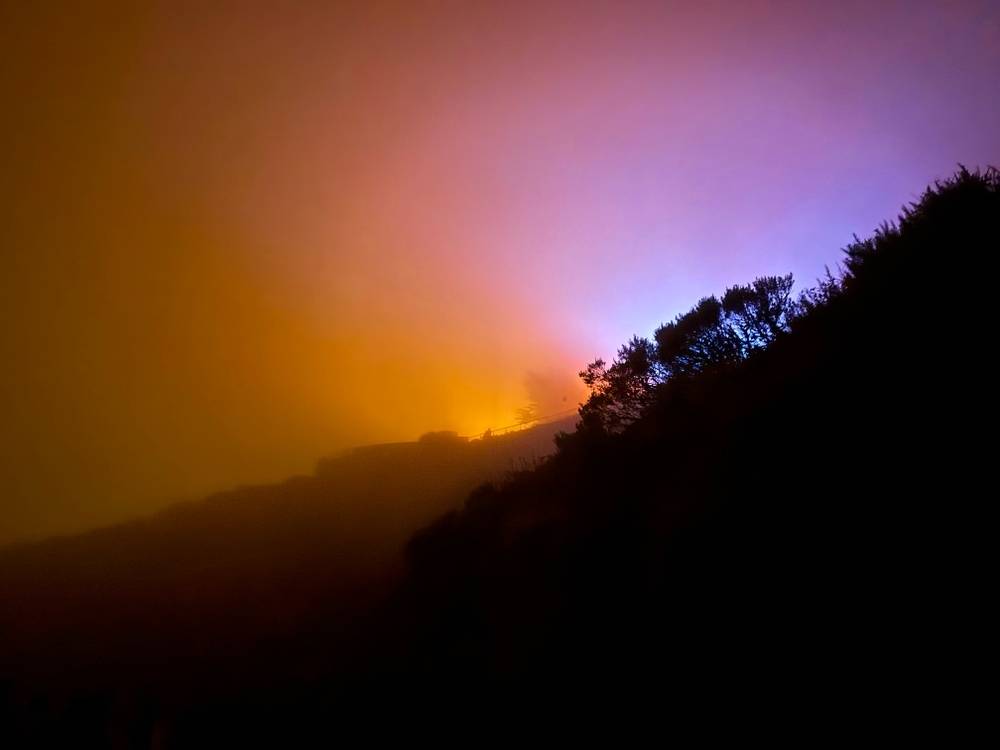 Lights turned orange and purple by fog, partially shrouded by trees, atop Twin Peaks in San Francisco