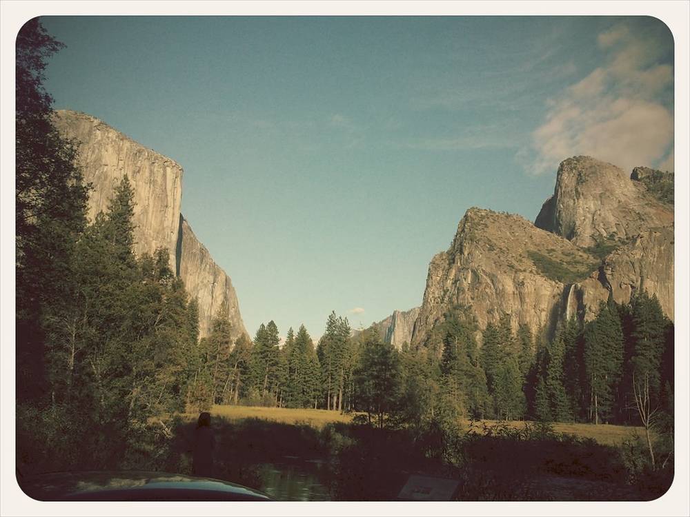 Towering granite cliffs rise above a forested valley in Yosemite.