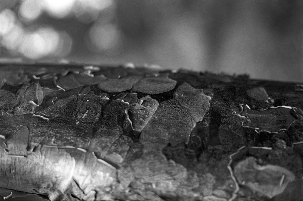 Peeling