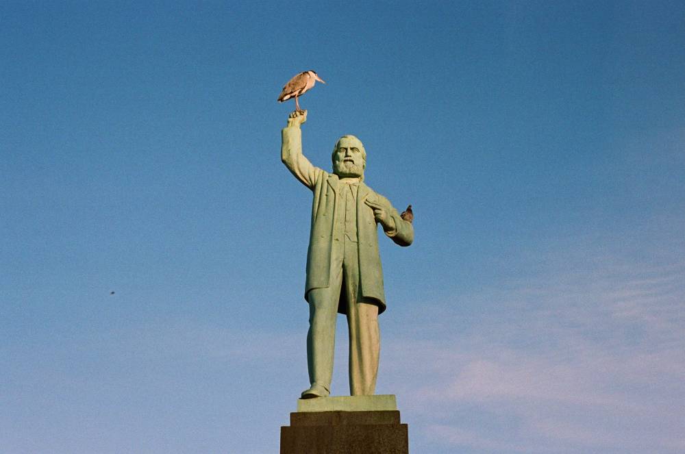 Strength, and a bird or two