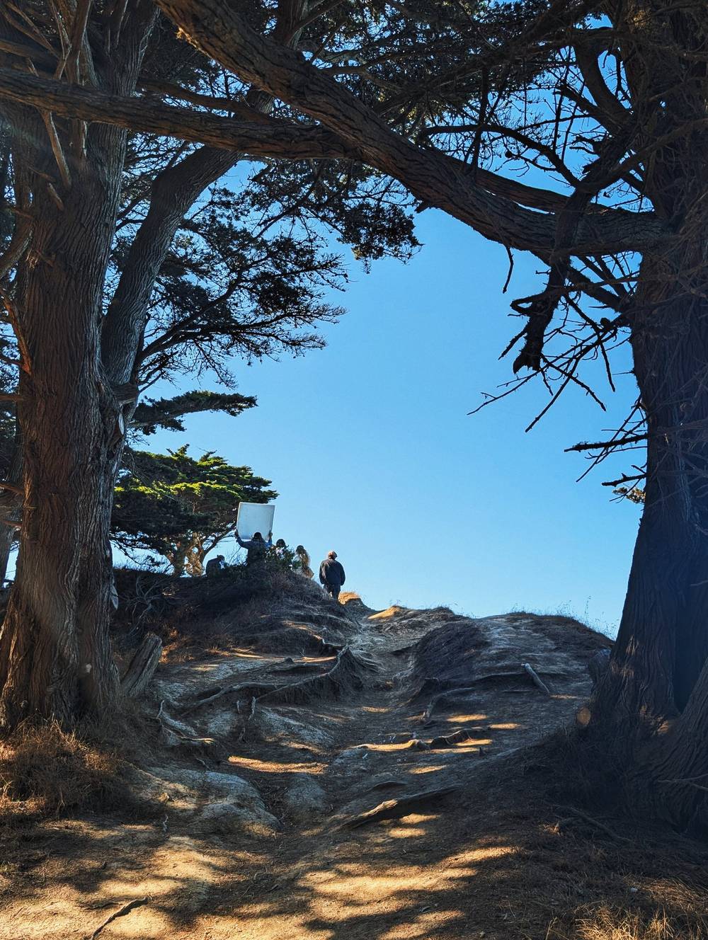 photo crew on top of a bluff