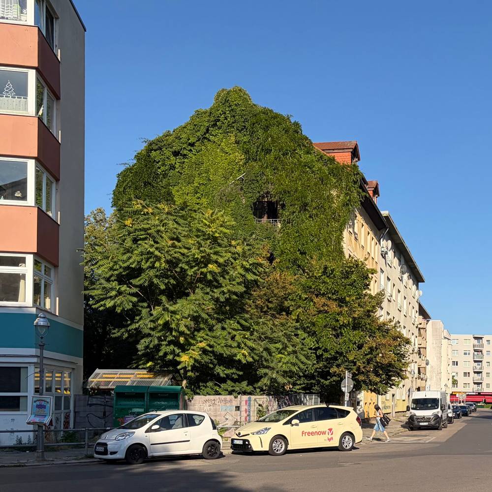 ein strak bewachsenes haus im wedding. die ganze seite ist grün zugewuchert, oben rechts sieht man eine öffnung im grpn für einen balkon