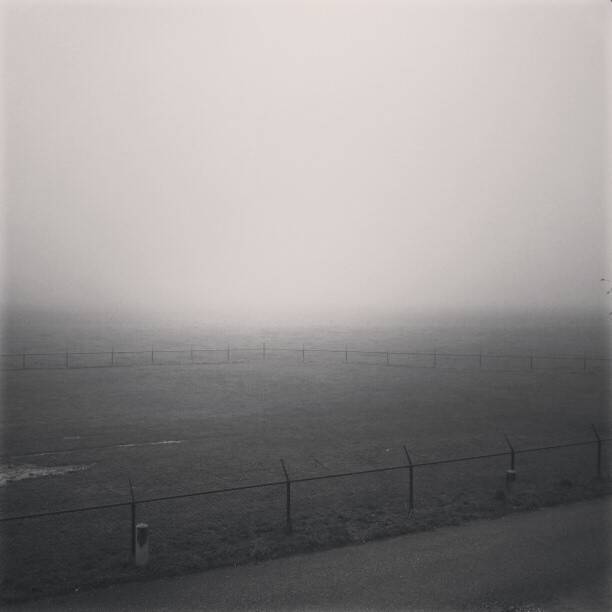 A foggy grey landscape with a faint fence line visible in the mist.