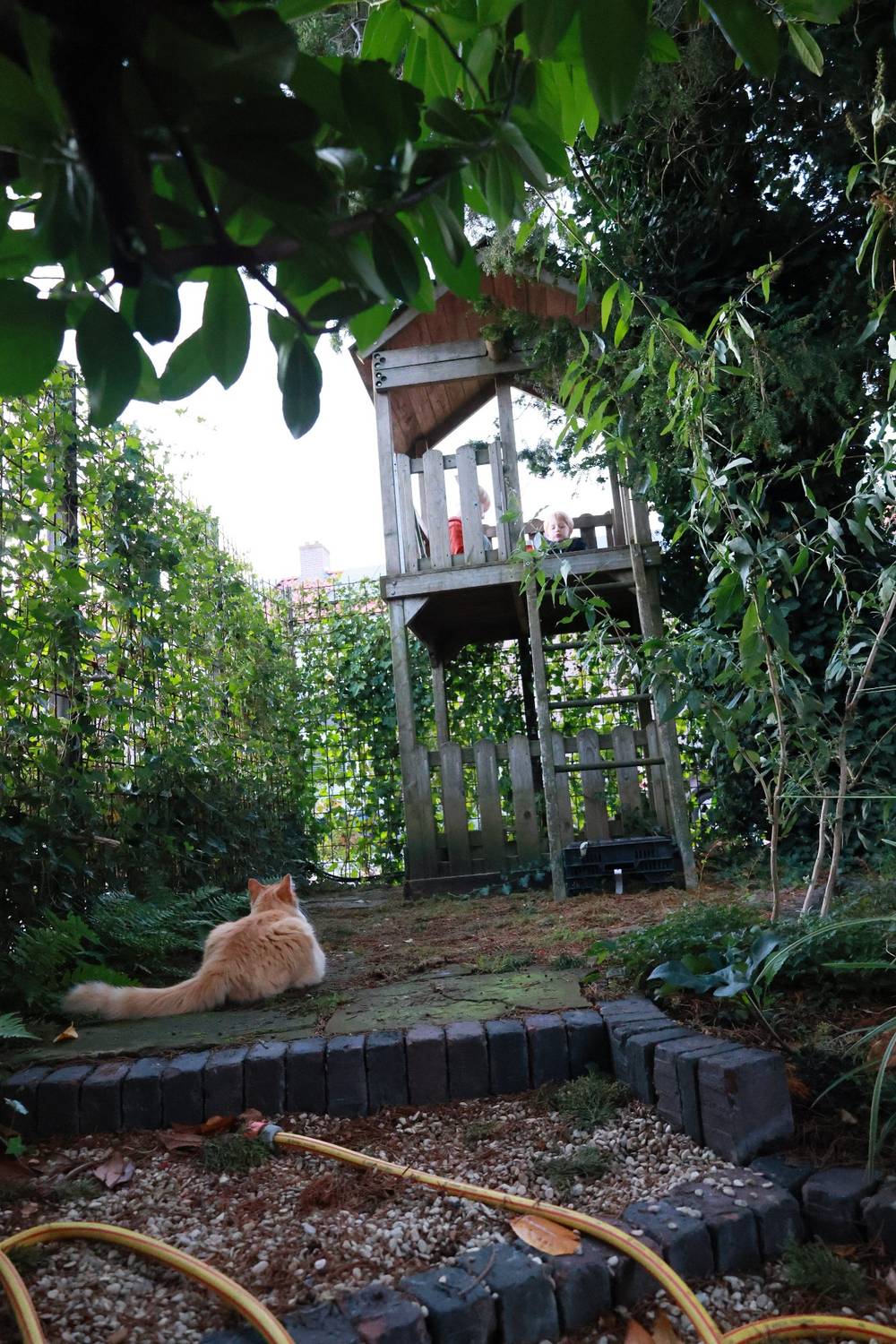A cat sits near a wooden treehouse structure in a garden.