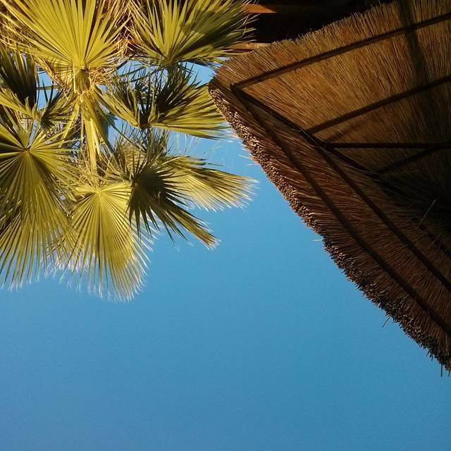 Aug 11, 2014, photo 1 of 1