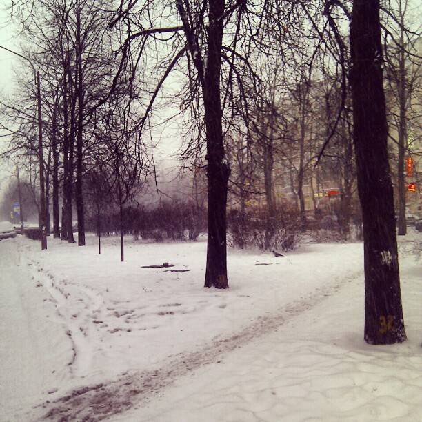 Dec 7, 2012, photo 1 of 1