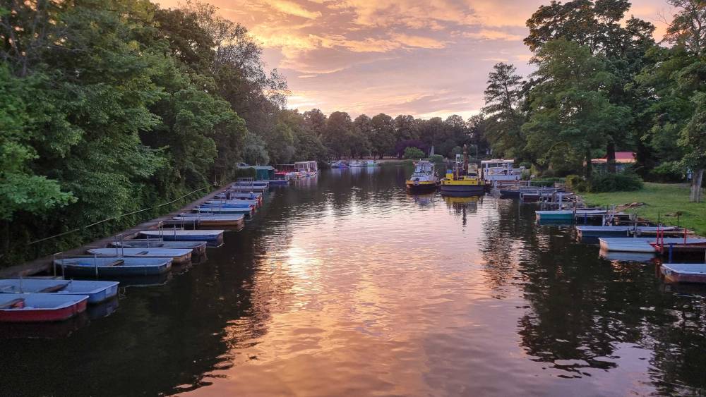 Sunset light reflecting on a canal lined with moored boats and trees.