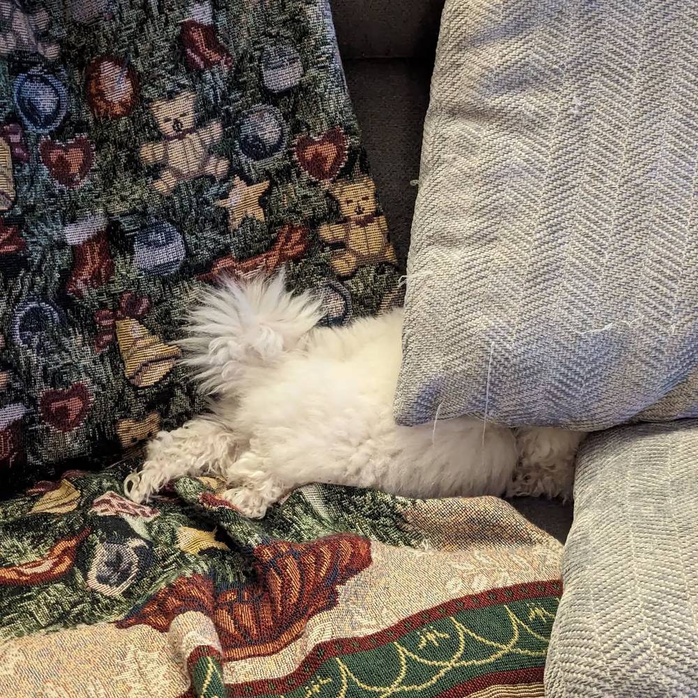 Nap time, photo 1 of 1