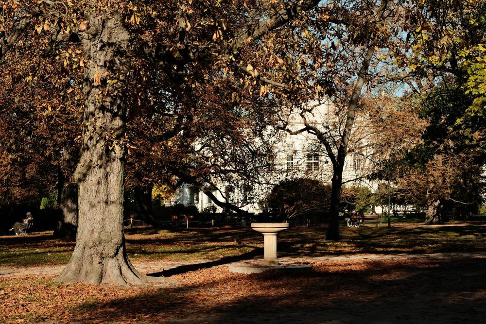 Autumn in Warsaw, 2026-10-17, photo 2 of 4