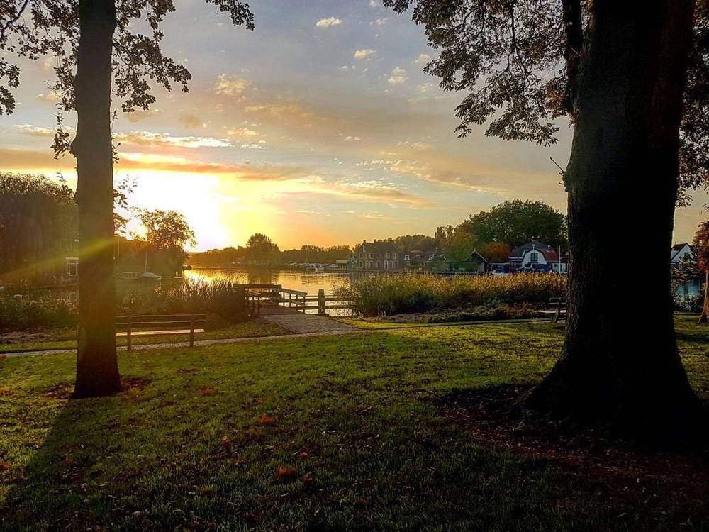A park at sunset with tall trees, a bench and a footbridge silhouetted against the glowing sky.