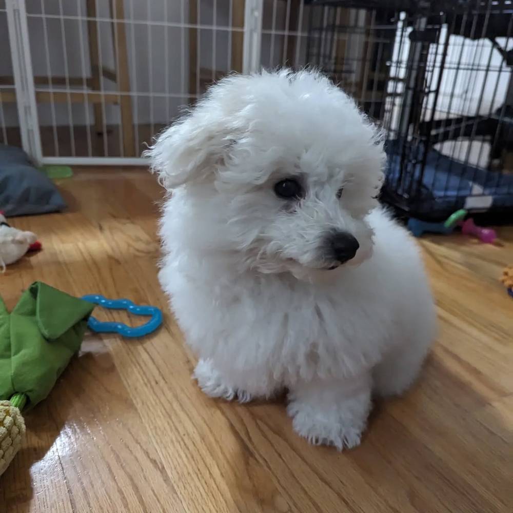 This is the face of a boy who just wants to bite toes.