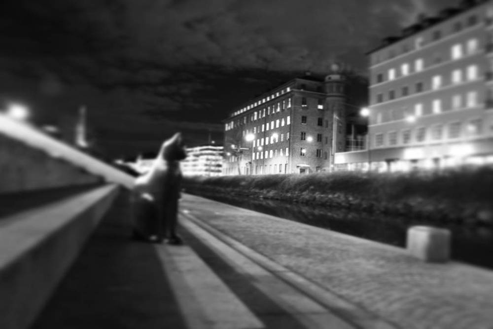 Black and white night photo of a cat silhouette on a railing with an illuminated building behind it.