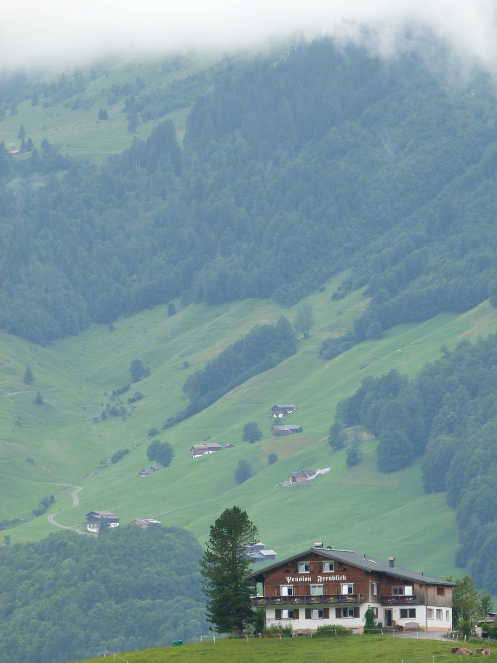 would live here