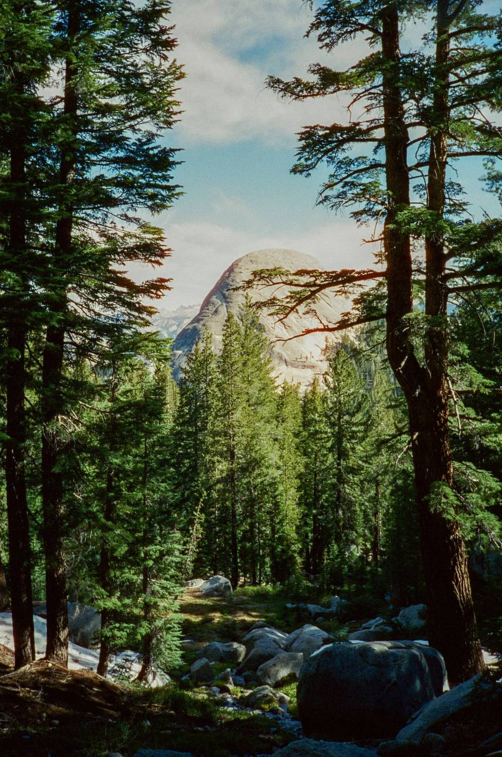 Yosemite NP on Cinestill 800T, Olympus XA1