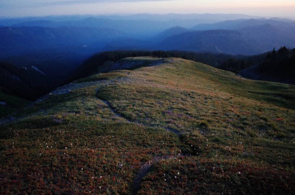 alpine meadow at dusk