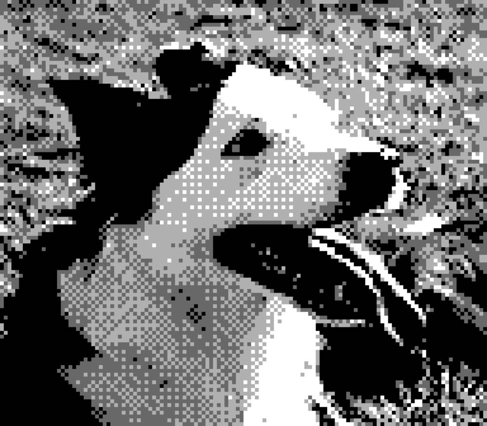 Game Boy Camera - Misc