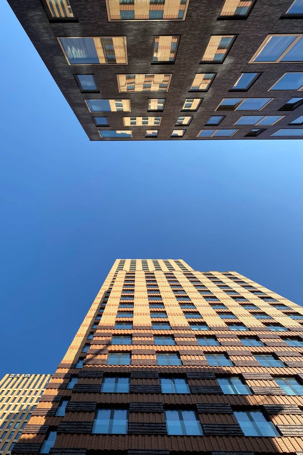 Zuidplein