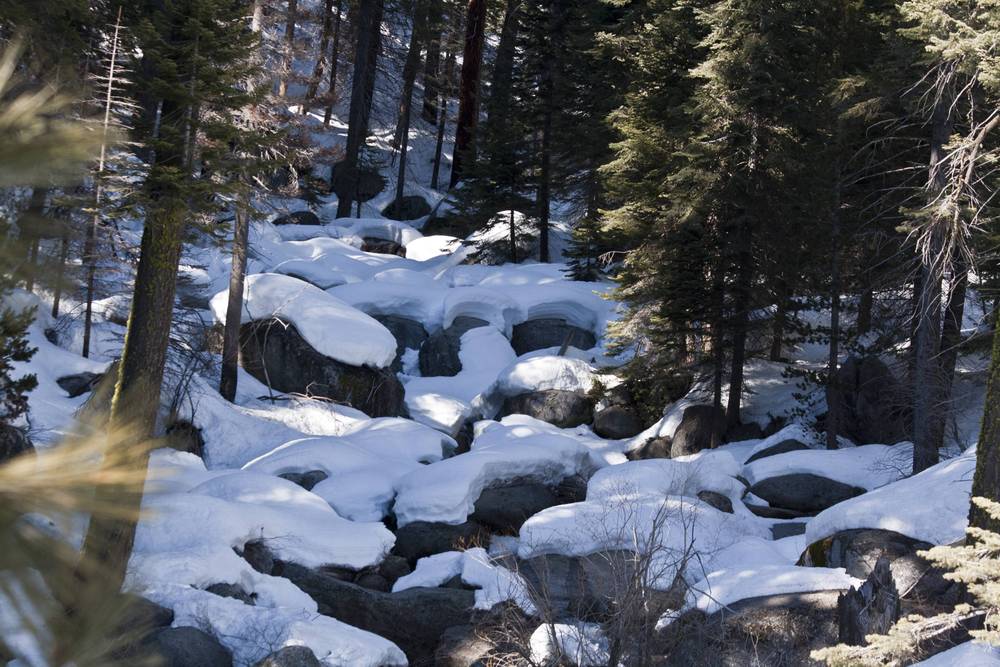 Snow-covered boulders sit scattered among tall pines beside a forest stream.