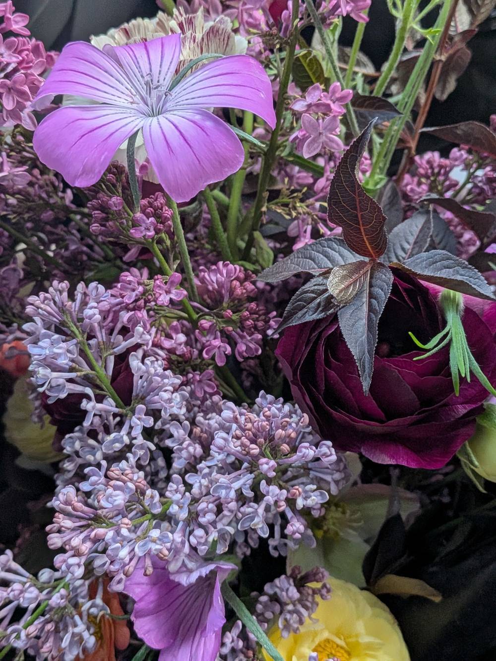 🌸💥