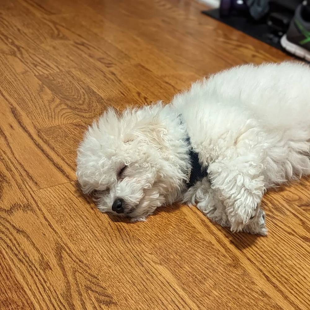 Eepy, photo 1 of 1