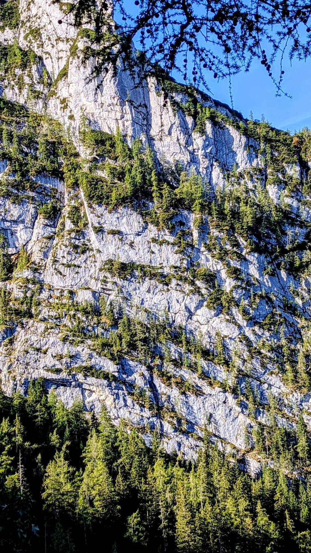 Ramsau, photo 2 of 10