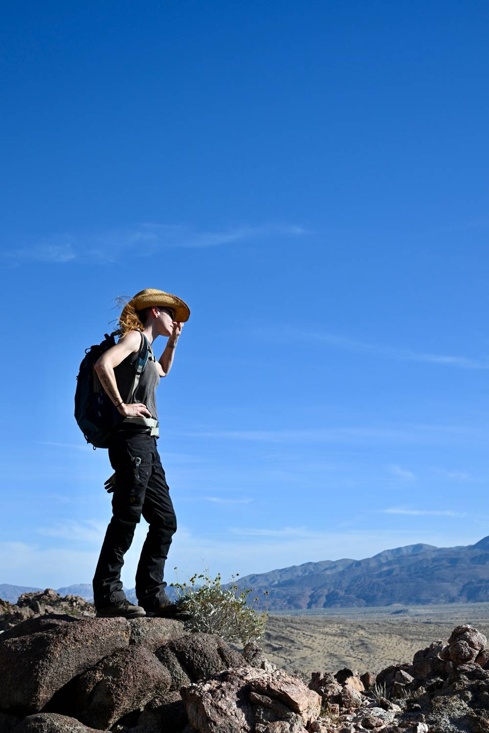 Anza-Borrego Desert State Park