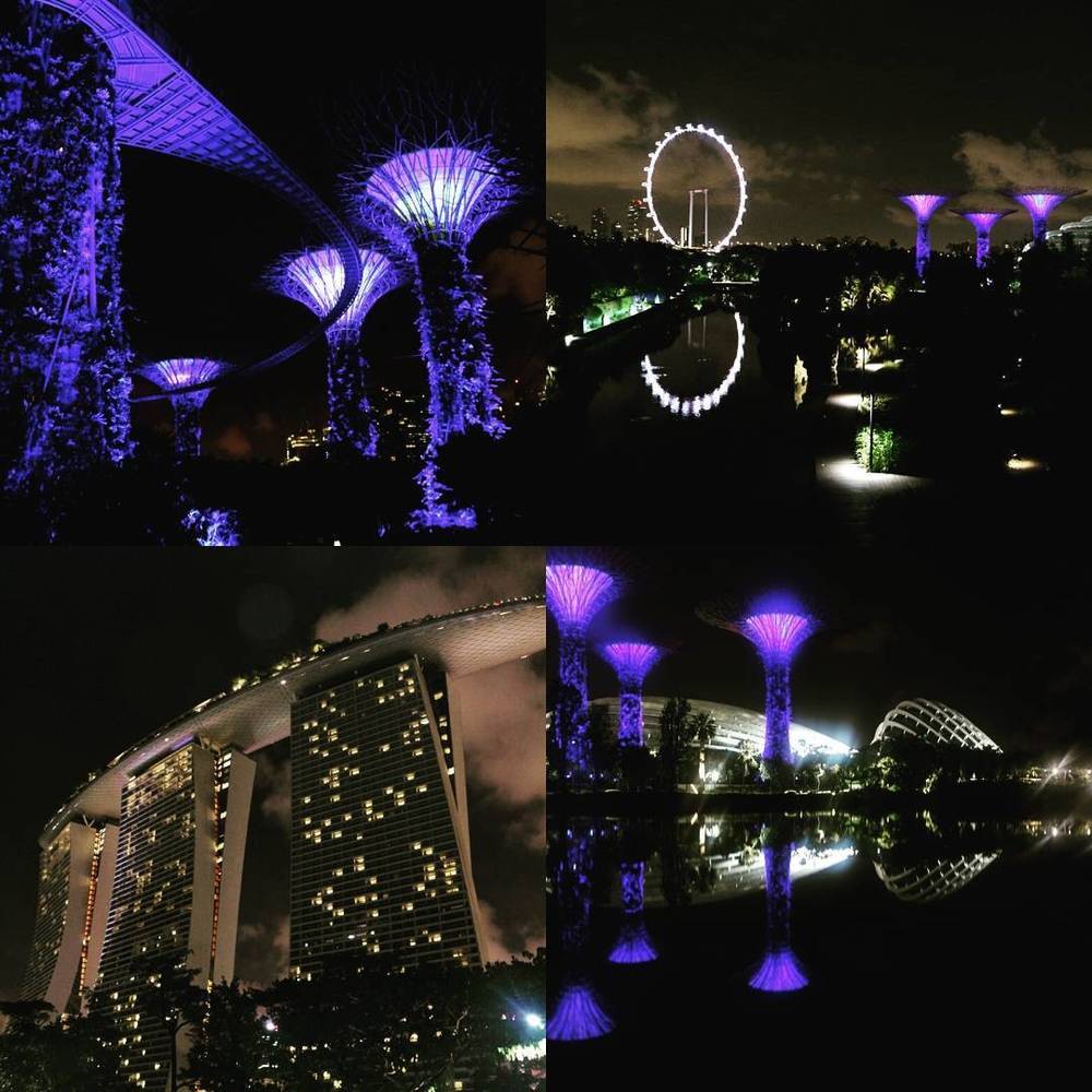 Collage of Singapore's illuminated Supertree structures and skyline at night.