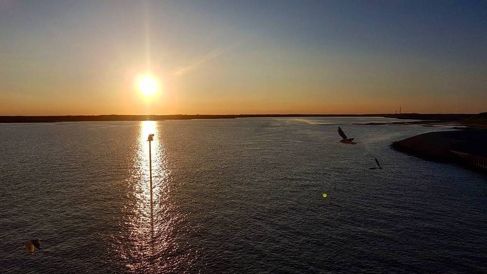 A golden sunset reflected on calm water, with a navigation marker and a bird flying past.
