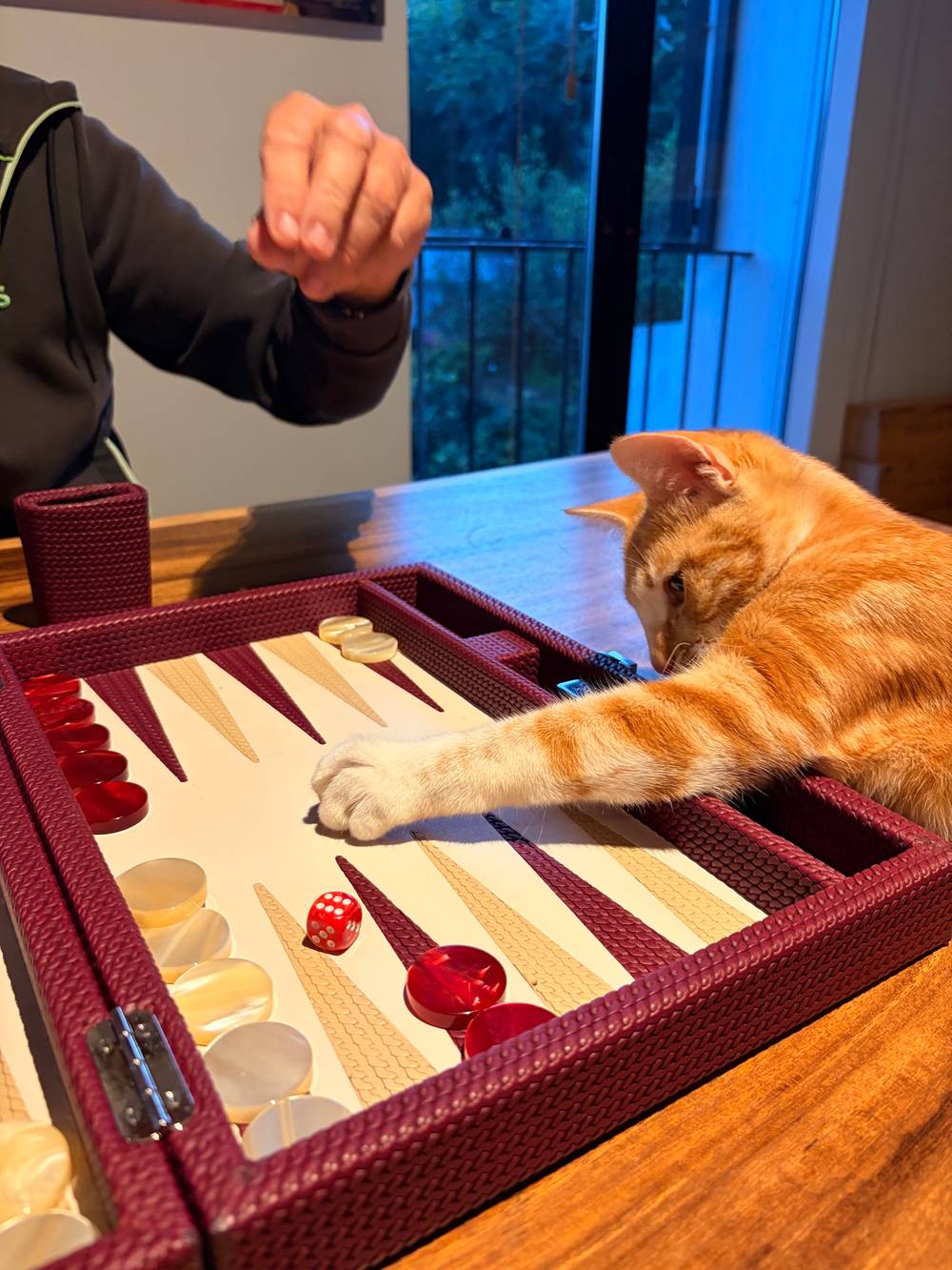 Backgammon 